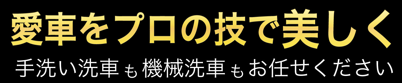 愛車をプロの技で美しく